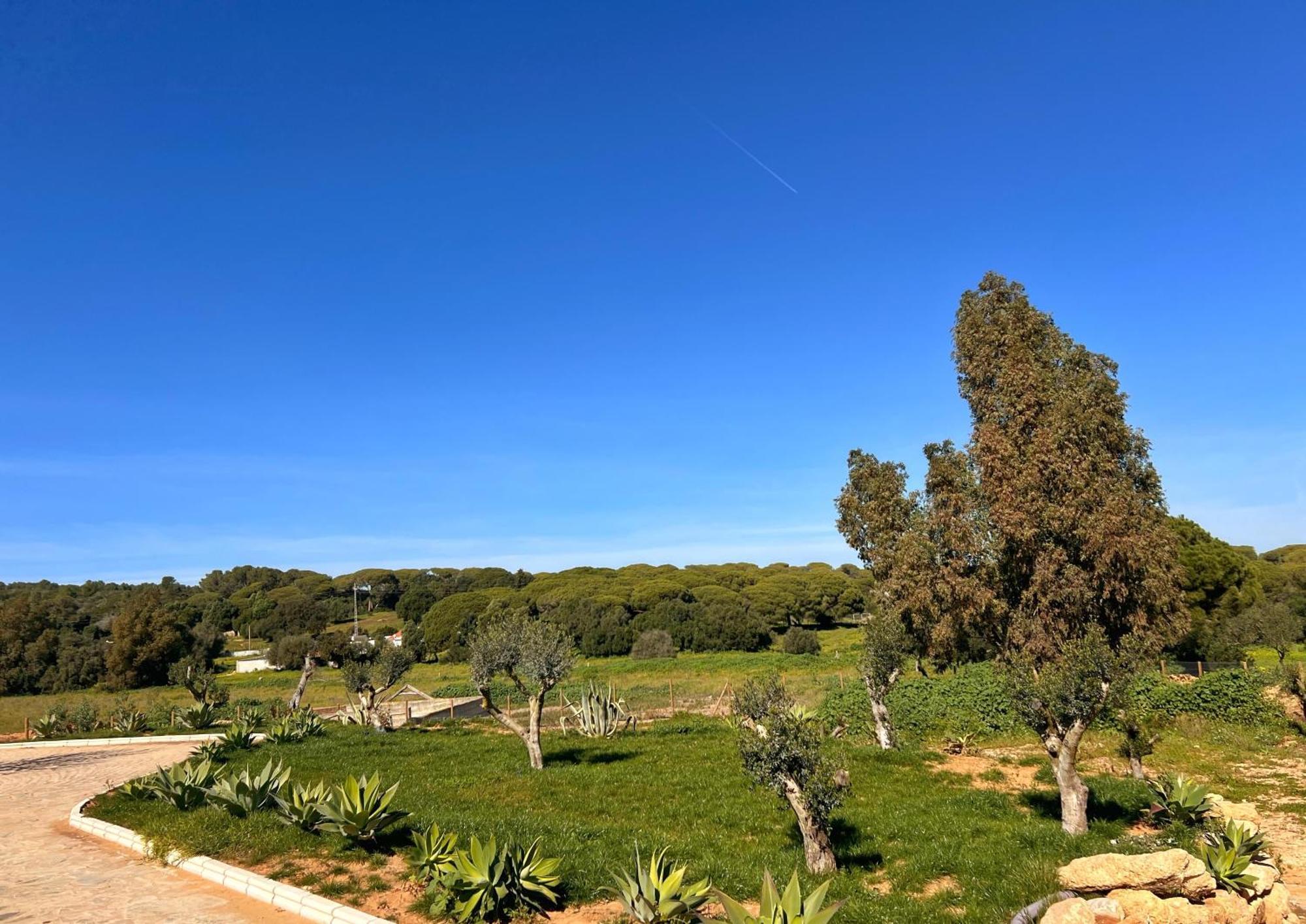 Villa Hacienda La Yerbabuena Cádiz Exterior foto